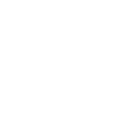 D2C & Owned Commerce Growth